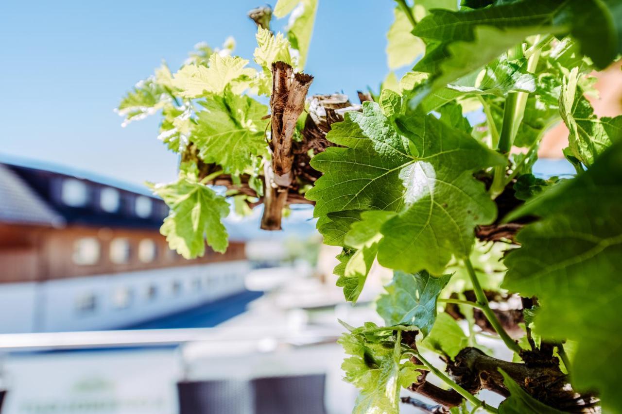 Kopeindlgut Apartments Wals-Siezenheim Zewnętrze zdjęcie